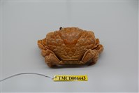 藏品(銅鑄熟若蟹)的圖片